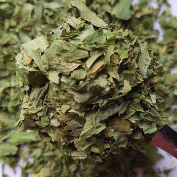 Bärlauch Rosmarinus 3 - Rosmarinus (koreni-krumlov.cz / platce DPH) 