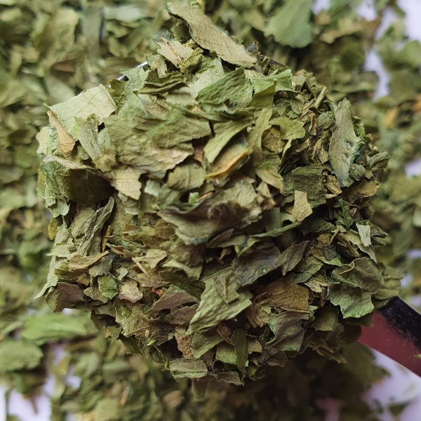 Medvedí Cesnak Rosmarinus 3 - Rosmarinus (koreni-krumlov.cz / platce DPH) 