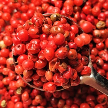 Whole Pink Pepper Rosmarinus 3 - Rosmarinus (koreni-krumlov.cz / platce DPH) 