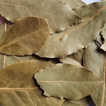 Lorbeerblatt Rosmarinus 3 - Rosmarinus (koreni-krumlov.cz / platce DPH) 