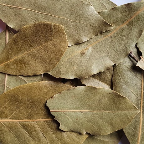 Bay Leaf Rosmarinus 3 - Rosmarinus (koreni-krumlov.cz / platce DPH) 