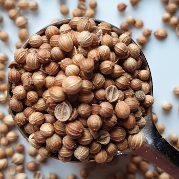 Whole Coriander Rosmarinus 3 - Rosmarinus (koreni-krumlov.cz / platce DPH) 
