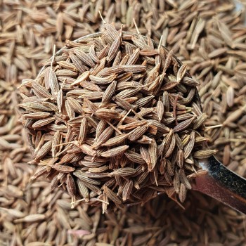 Whole Cumin Rosmarinus 3 - Rosmarinus (koreni-krumlov.cz / platce DPH) 