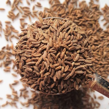 Czech Whole Caraway Rosmarinus 3 - Rosmarinus (koreni-krumlov.cz / platce DPH) 