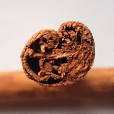 Whole Ceylon cinnamon Rosmarinus 3 - Rosmarinus (koreni-krumlov.cz / platce DPH) 