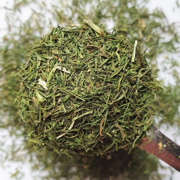 Dill Tips Rosmarinus 4 - Rosmarinus (koreni-krumlov.cz / platce DPH) 