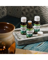 Lavendel – 100 % naturreines ätherisches Öl Rosmarinus 3 - Rosmarinus (koreni-krumlov.cz / platce DPH) 