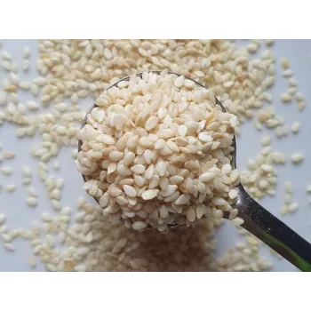 Geschälter Sesam Rosmarinus 1 - Rosmarinus (koreni-krumlov.cz / platce DPH) 