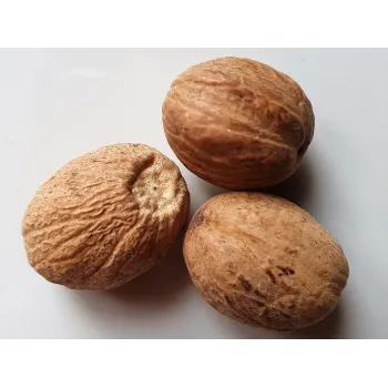 Ganze Muskatnuss Rosmarinus 1 - Rosmarinus (koreni-krumlov.cz / platce DPH) 